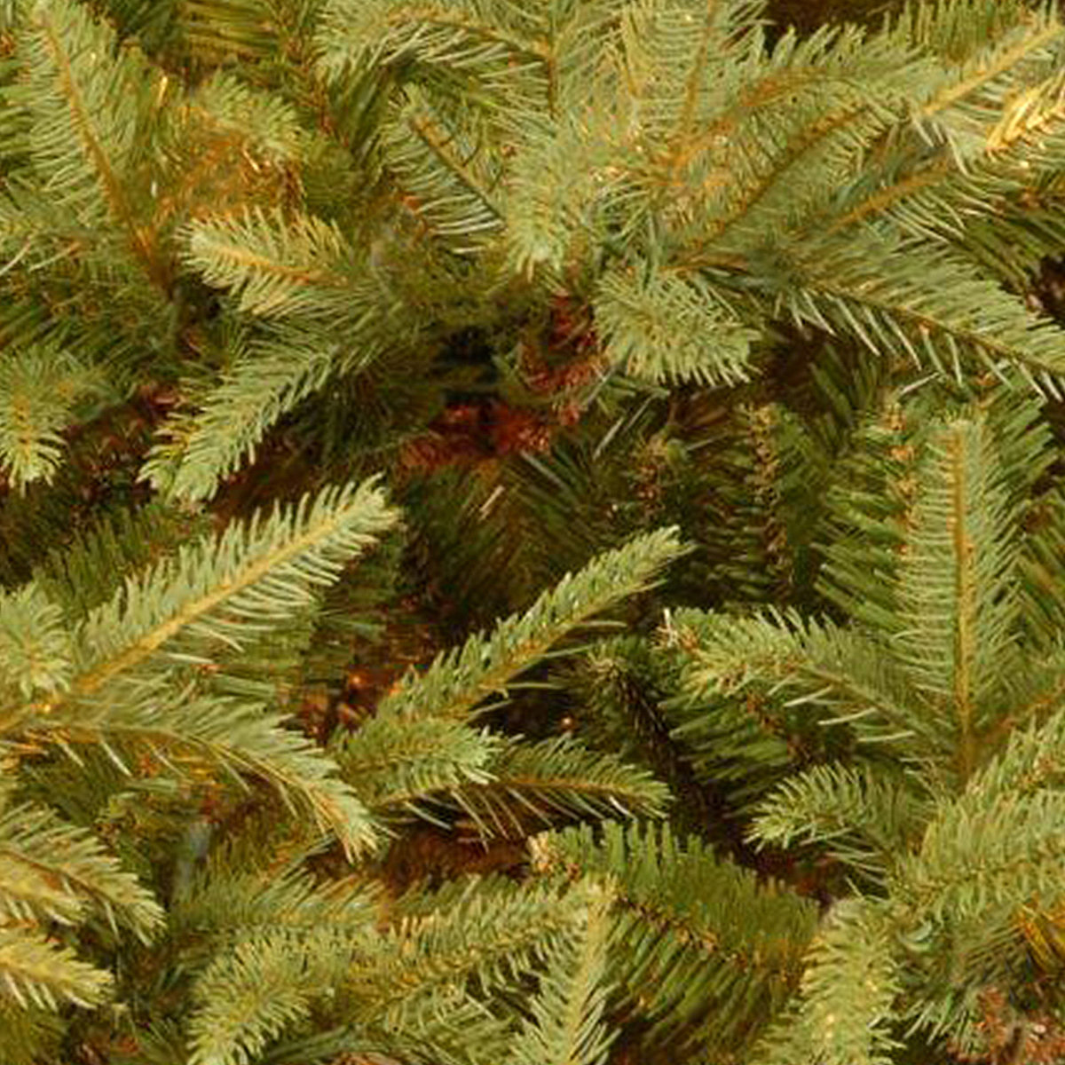 Fir Christmas Tree, 7.5' H
