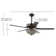 Chicago 48'' Ceiling Fan with Light Kit