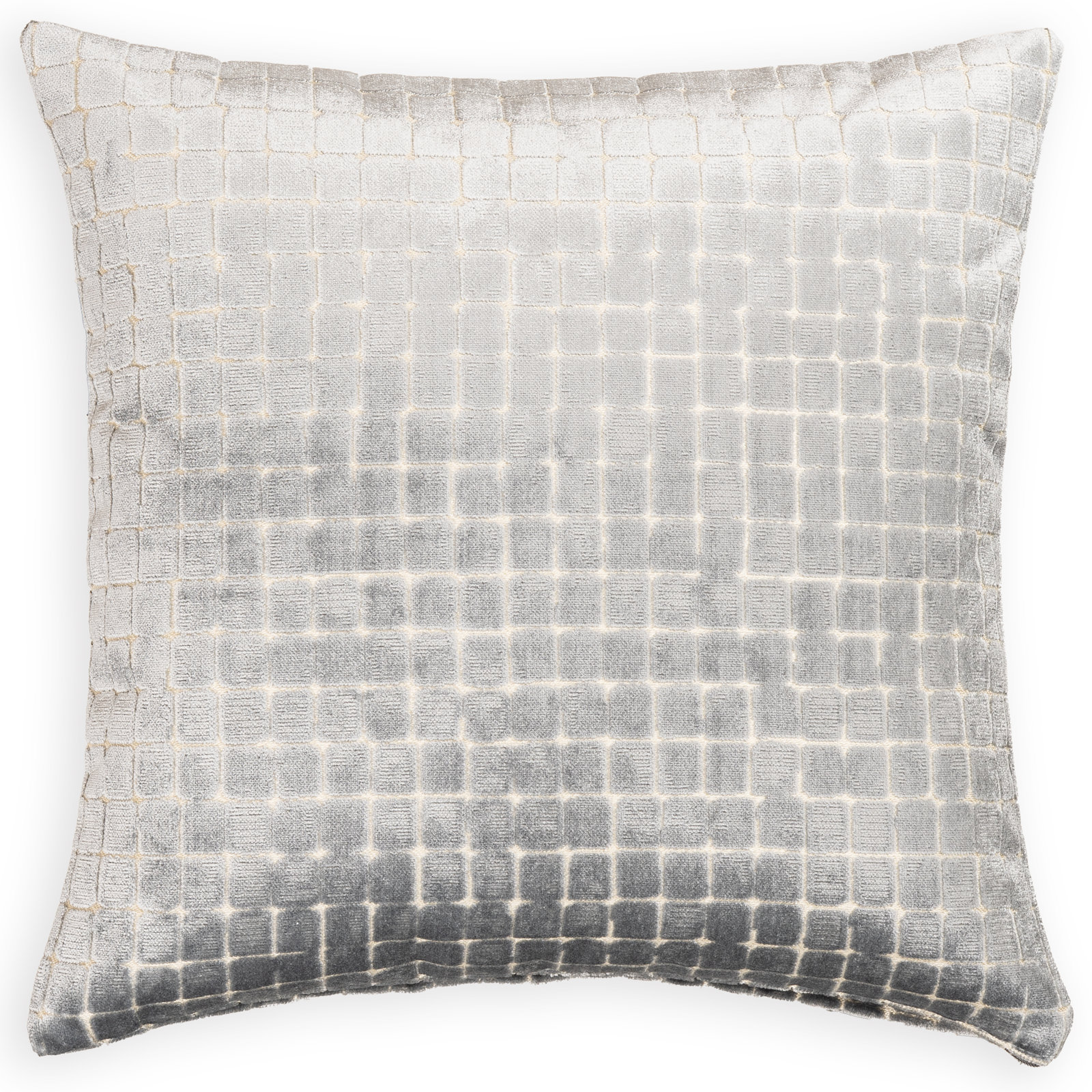 Salvador Throw Pillow, Feather, Sky, 20" x 20"