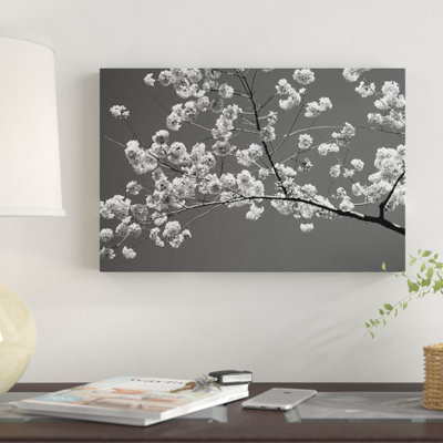 " Cherry Blossoms Washington D.C. USA " by Panoramic Images