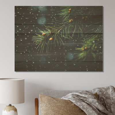 Spruce Pine Tree Forest I - Tree Pine On Wood Print