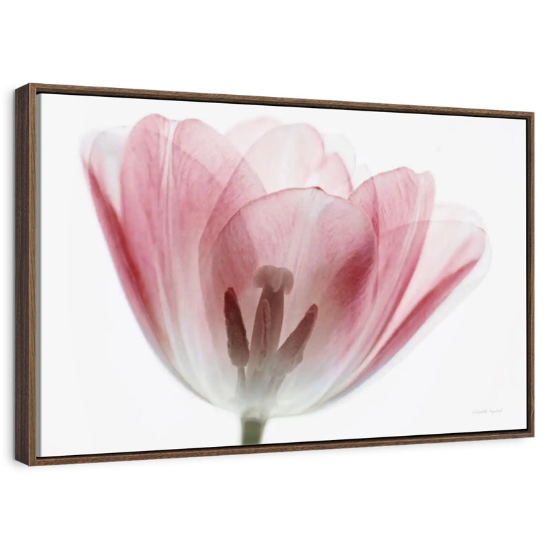 Inside Out III, 19" X 13", Floating Frame Walnut