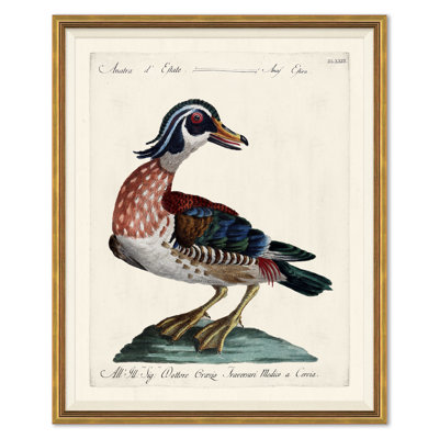 Odd Birds Giclee Print