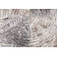 Spinning Around Canvas Print