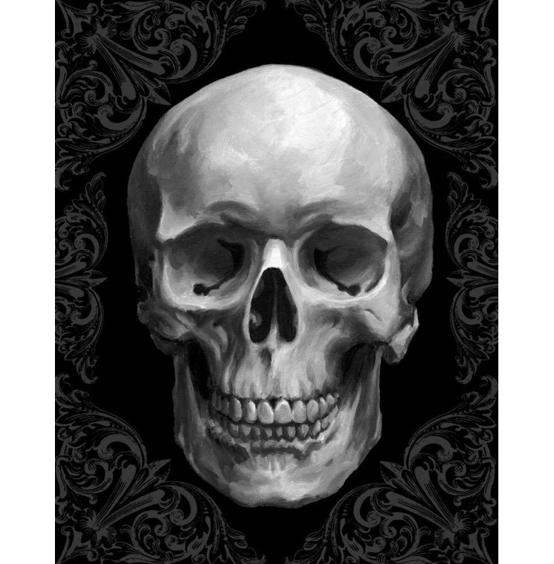 Art sur toile tendue, Astoria Grand Harper, Ethan Gallery: Glam Skull, H 45 po x l 36 po