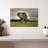 Brampt Elephant Landscape-108691103
