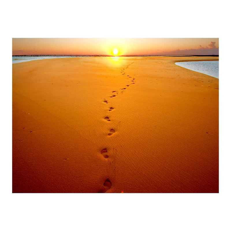 Landscape Wallpaper Wall Mural - Footprints In The Sand, 121" L x 157" W