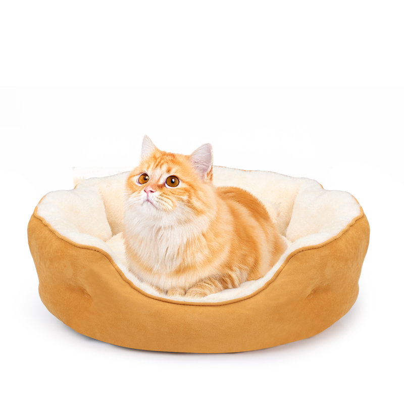 Lit rond pour chat, Petit (L 20 po x l 19 po), Jaune