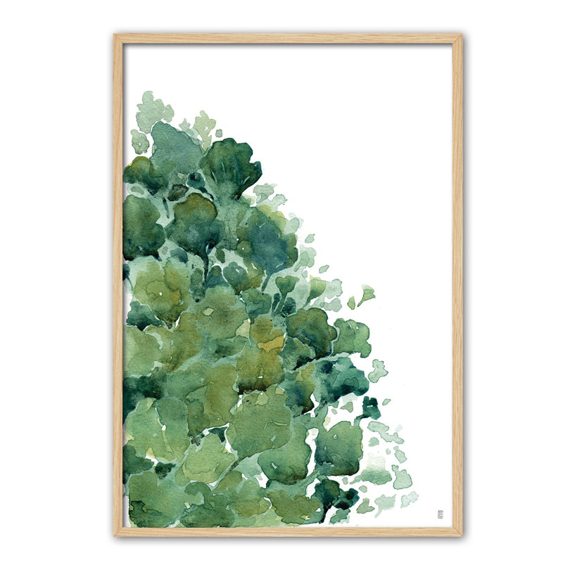 Nature Planta Ortiz IV by César Ortiz Echagüe - Single Picture Frame Painting, 60cm H x 40cm W x 3cm D