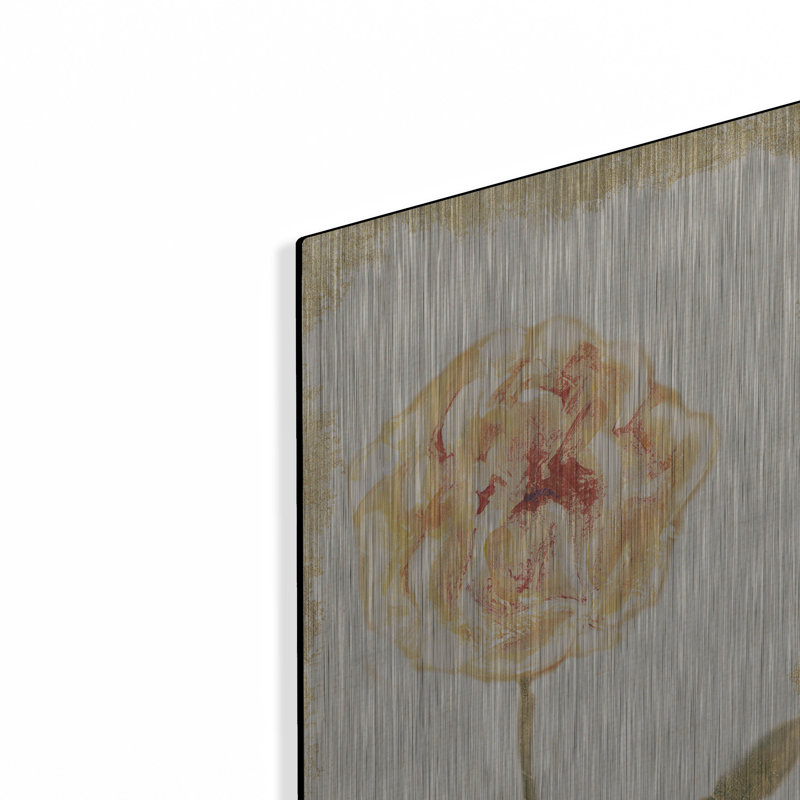 Art mural en métal Lark Manor ™ «Pale Rose» par Cheri Blum, H 36 po x l 12 po
