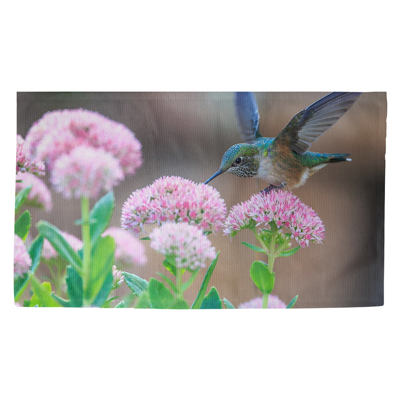 Paillasson d’intérieur hummingbird dobby Seidel, Rectangulaire 2 pi 1,5 po x 3 pi 4 po