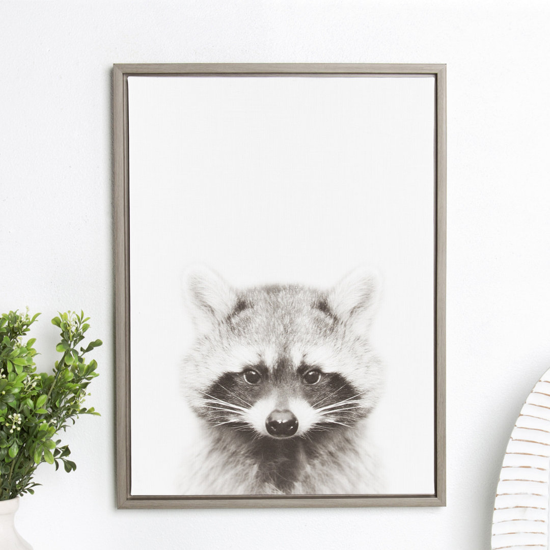 Raccoon by Simon Te of Tai Prints Framed Canvas Wall Art Print Kate and Laurel