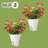 Railing Planter Box 2-Pack - 13.5-Inch Round Outdoor Flower Pots with Drainage Inserts - 2.64-Gallon Outdoor Planters for Porch, Deck, Fence, or Balcony Railings 3” - 3.75” Wide by Pure Garden (White)-1574618905-1599732170