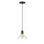 Luminaire suspendu en forme de dôme à 1 lumière Searcy-526811399-526811396