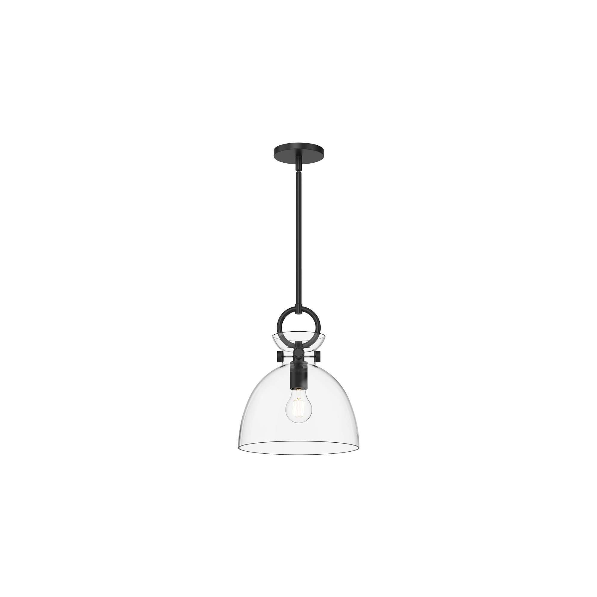 Tinka Single Light Glass Steel Pendant, Clear, Matte Black, 12.75" H x 10.5" W x 10.5" D