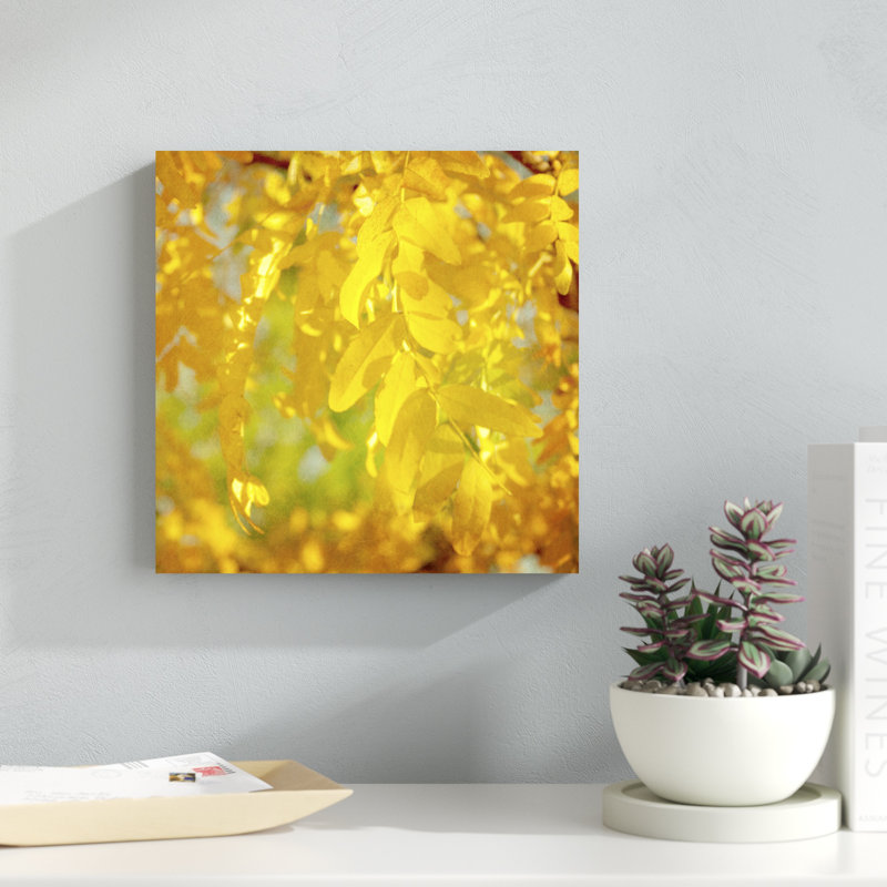 Photographie d'automne IV par Sylvia Coomes - Photographie sur toile tendue, H 12 po x l 12 po x P 1,25 po