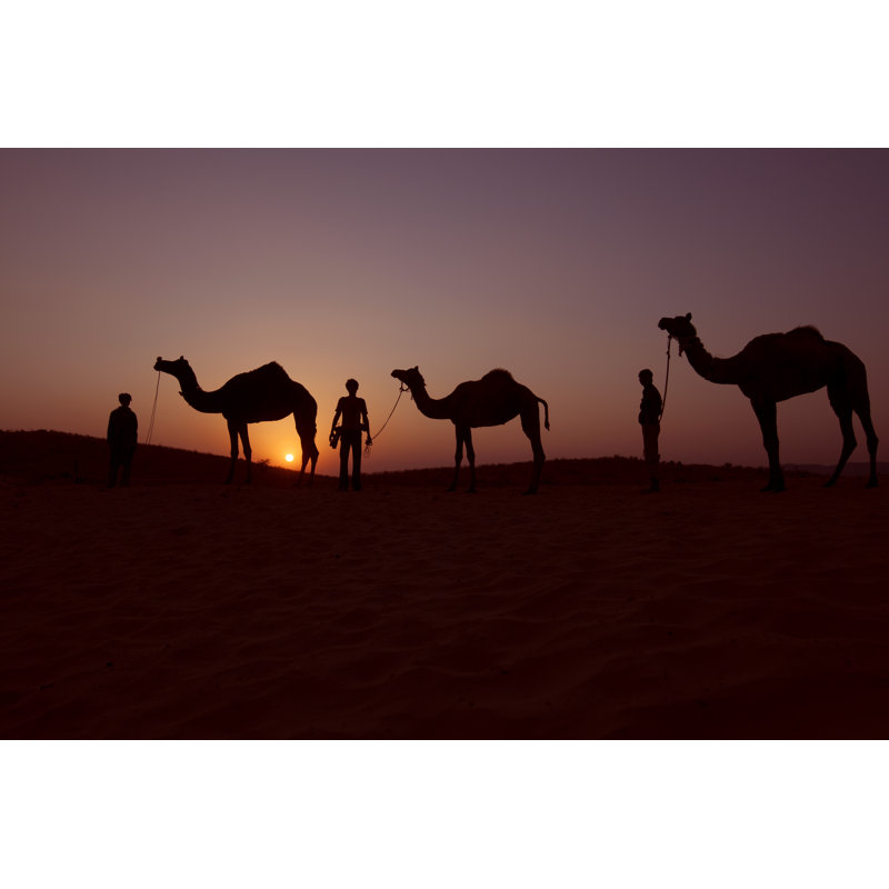 Silhouette of Camel Riders at Pushkar, 20cm H x 30cm W