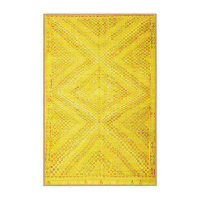 Iben Performance Southwestern Indoor Rug