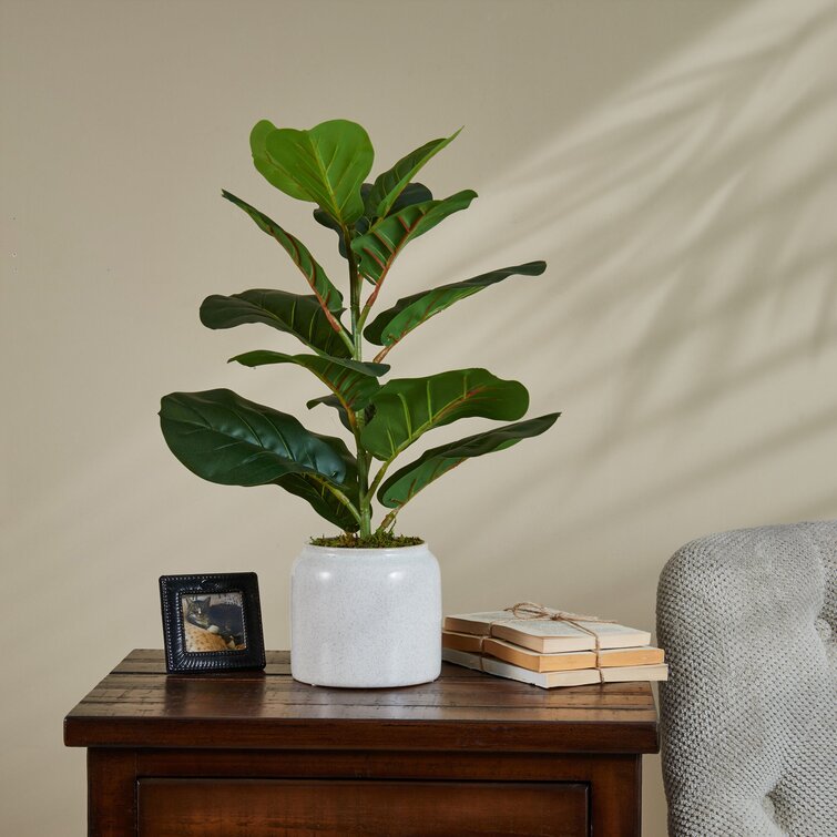 Elements Fiddle Leaf Fig in Ivory Ceramic Pot Farmhouse Faux Greenery  Tabletop Centerpiece Mantel, 20 inch