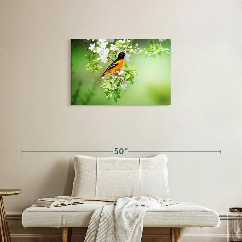 Brampt Oriole, 20" H x 30" W
