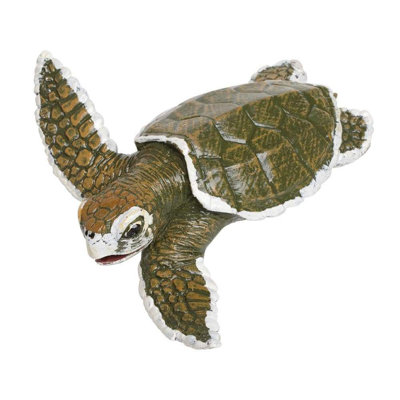 Tortue de mer Kemps Ridley