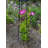 Alarcon-Chacon 84'' H x 13'' W Iron Obelisk Trellis