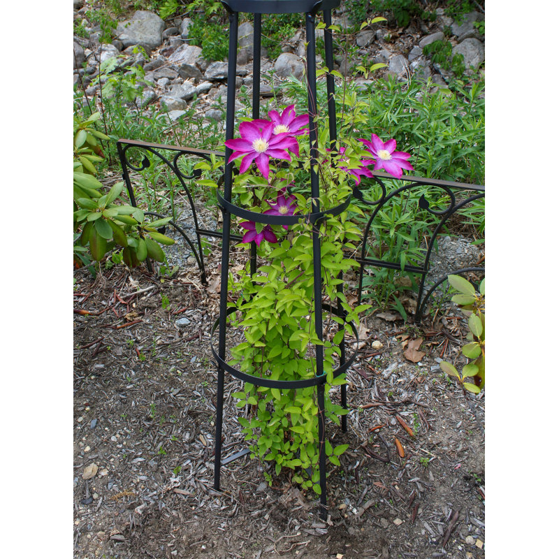 Graphite Wrought Iron Garden Obelisk Trellis, 84 Inches