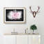 Striking White & Pink Carnation - Picture Frame Graphic Art Print-56863770-56863767