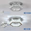 Pearsons Acrylic LED Flush Mount