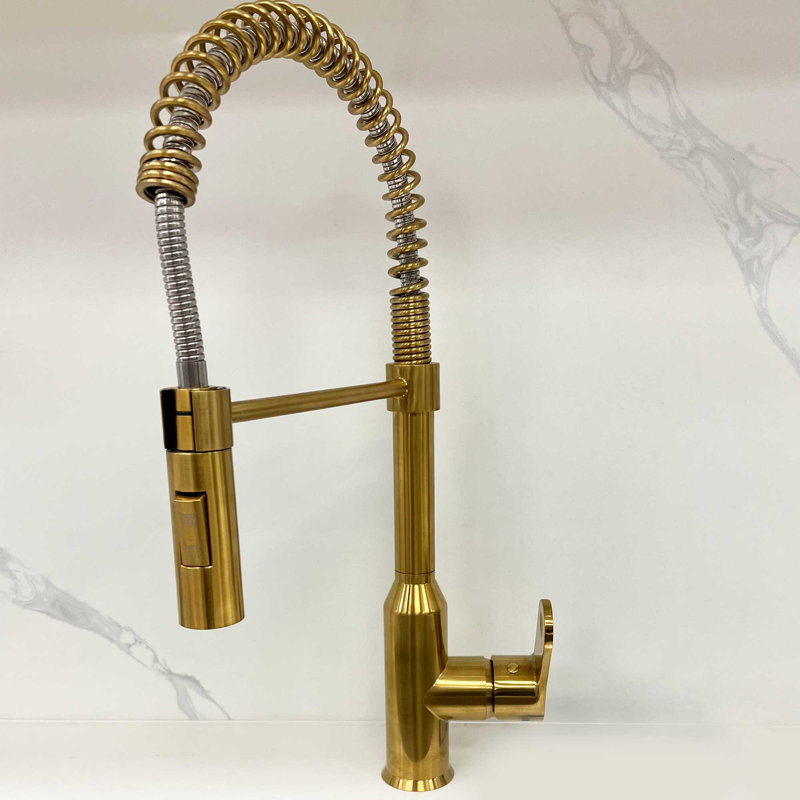 LessCare Pull Down Kitchen Faucet, Gold