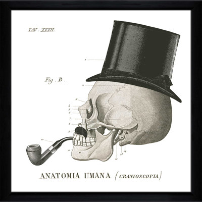 " Dandy Bones II "