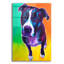 «Pit Bull - Truman» par Dawg Painter-1435573689