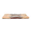 Coussin confortable Pendleton-114397802-114397804