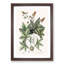 Green Lizard by Mark Catesby - Picture Frame Painting Print-55736236-55736238