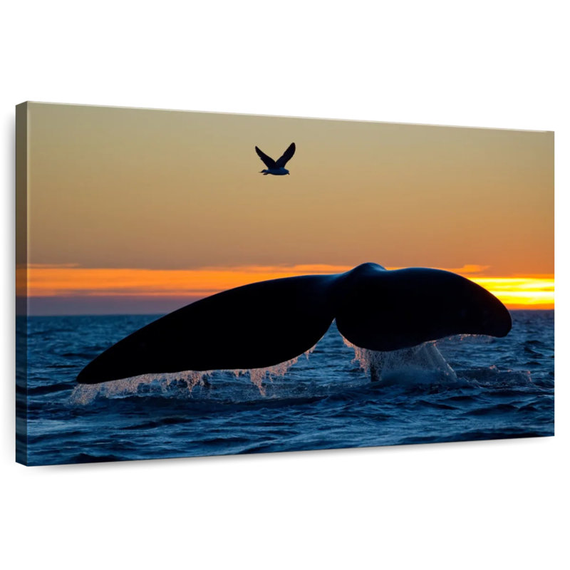 Brampt Whale Tail Sighting, 16" H x 24" W