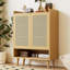 Shoe Storage Cabinet