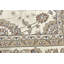 Oriental Area Rug in Cream-161569648