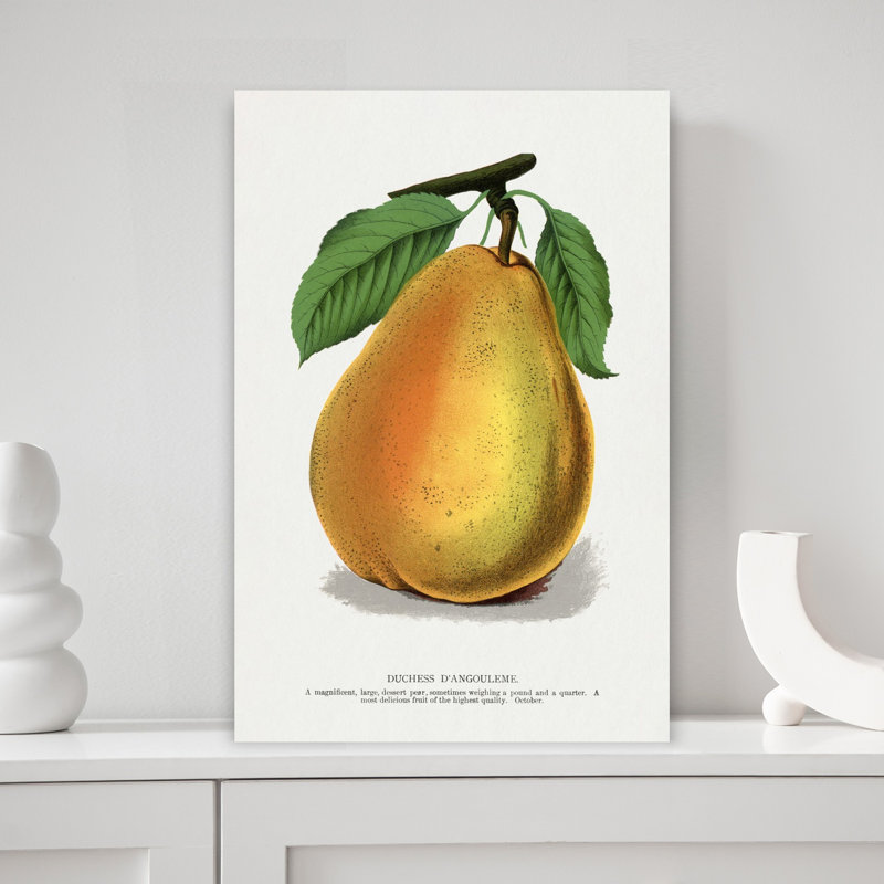 «Duchess D'angouleme Pear», art mural rétro rétro, H 18 po x l 12 po