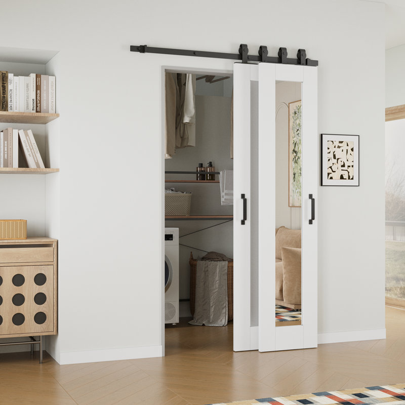 Porte de grange coulissante 80 po 1-Lite, 28 po x 80 po