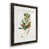 Black Framed