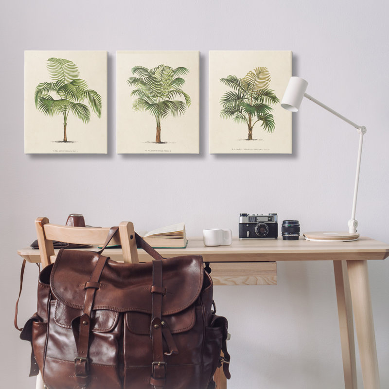 «Les Palmiers Botanical Trio», ensemble de 3 toiles murales par World Art Group, H 20 po x l 16 po