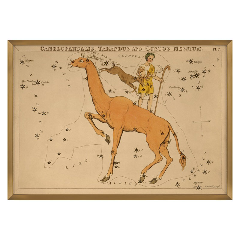 Camelopardalis Print by Grand Archives