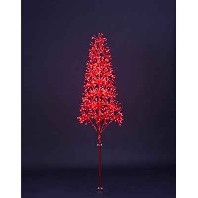 Lighted Trees & Branches
