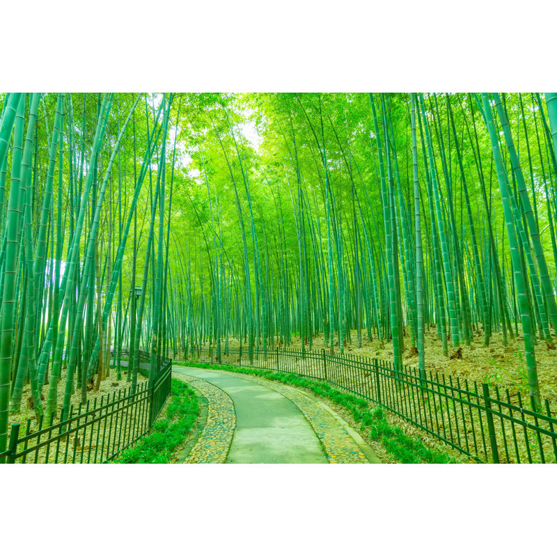 Maniscalco Bamboo 3 par - Photographie sur toile tendue, H 8 po x l 12 po