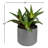 10'' Faux Succulent Plant in Ceramic Pot