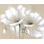 «White Abstract Wild Flowers - Botanical Beige», reproduction encadrée-752045729-752045759