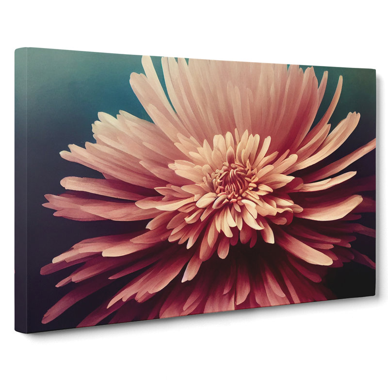 Bold Chrysanthemum Flower - Wrapped Canvas, 35cm H x 50cm W x 3cm D