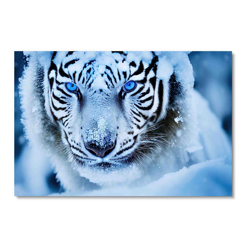 Gros plan sur un tigre blanc, photographie d'animaux, décoration murale faune, H 24 po x l 36 po, Acrylique sans cadre
