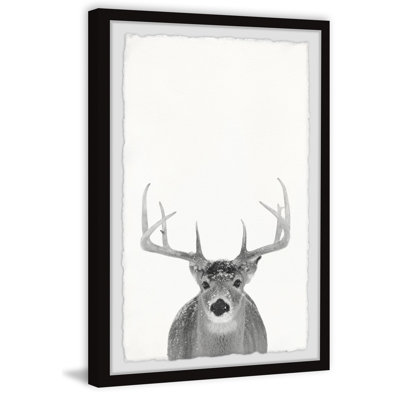 «Gray Deer», reproduction encadrée