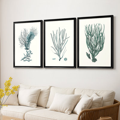 Antique Coastal Coral VI  -Custom Framed  Wrapped Gallery Canvas - 3 Pieces